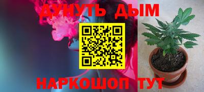 PSILOCYBIN Гатчина