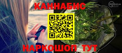 PSILOCYBIN Гатчина