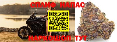 a pvp Гусев