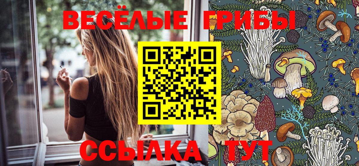 Галлюциногенные грибы MAGIC MUSHROOMS Мурино